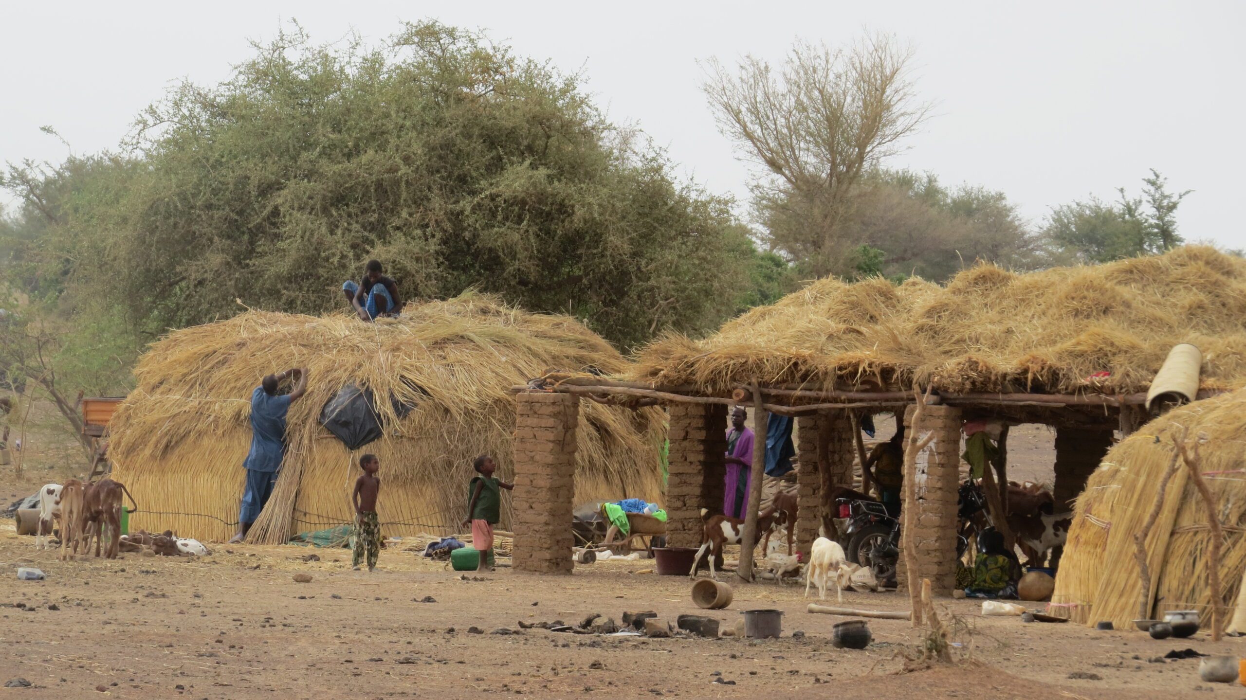 Cristãos deslocados do Norte do Mali resolvem não voltar pras suas cidades e construir casas Crédito: Portas Abertas